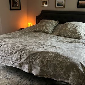 Queen duvet cover and euro shams.
